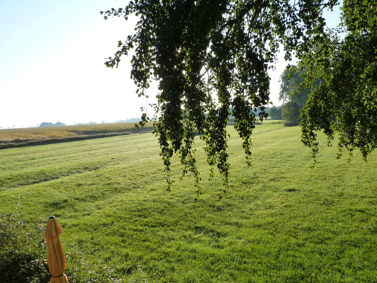 Casa de vacaciones 'Feriencottage Nordseeluft' con terraza privada, jardín comunitario y wifi in Eiderstedt