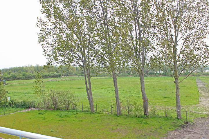 Ferienwohnung für 5 Personen, mit Balkon in Börgerende-Rethwisch - 4