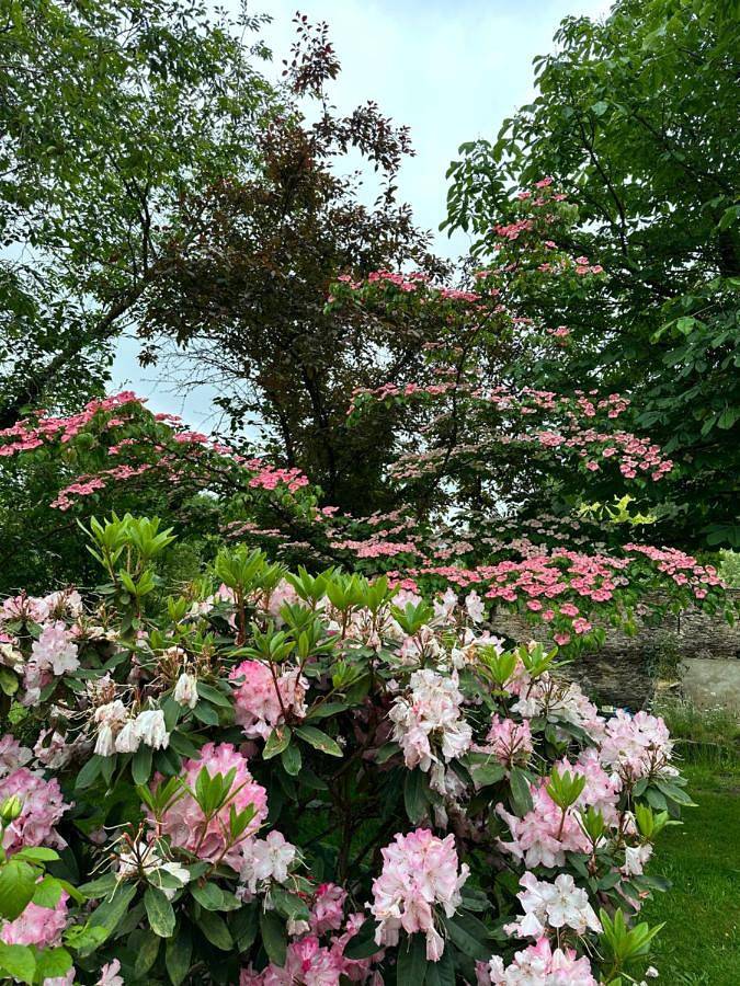 Gîte pour 2 personnes, avec vue et jardin, animaux acceptés à Saint-Lô - 4