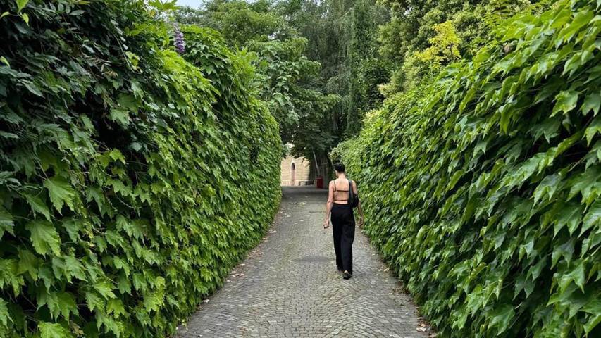 Chambre d’hôte pour 2 personnes, avec terrasse, animaux acceptés à Bolzano