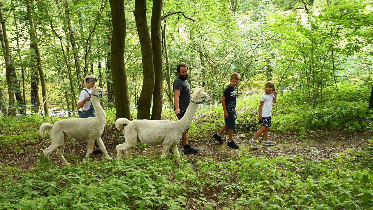 Ganze Ferienwohnung, Ferienwohnung für 4 Personen (81 m²) in Taura in Taura, Chemnitz und Umgebung