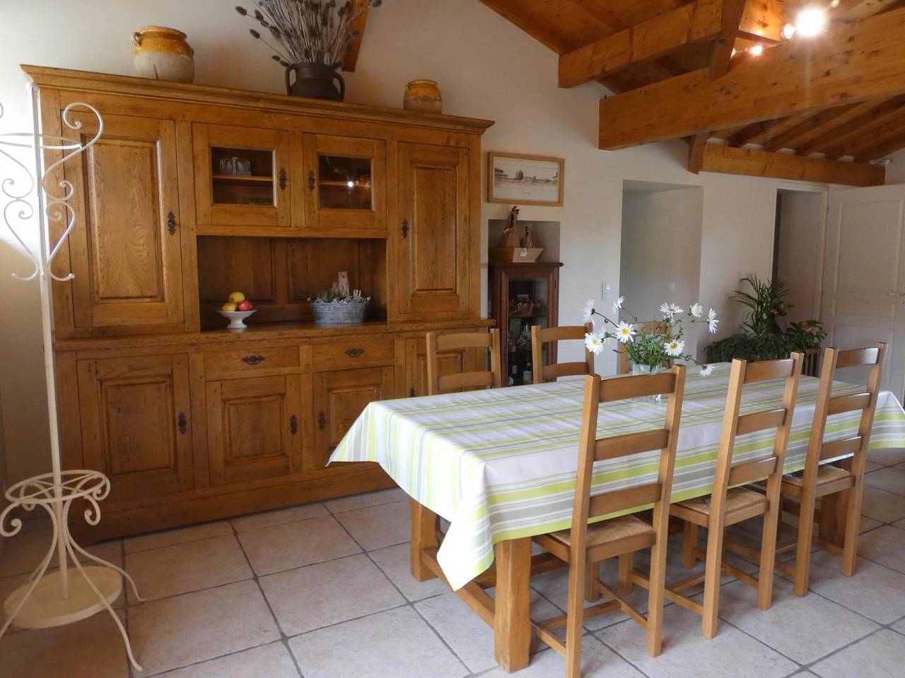 Gascon du Saby in Hontanx, Landes