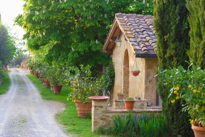 Maison de campagne pour 7 personnes, avec jardin et piscine à Poggibonsi - 4