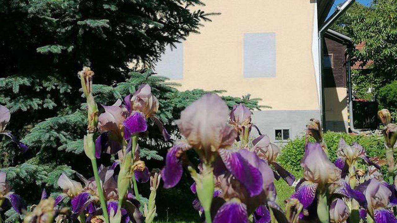 Ferienhaus für 4 Personen in Bad Blumau, Steirerland