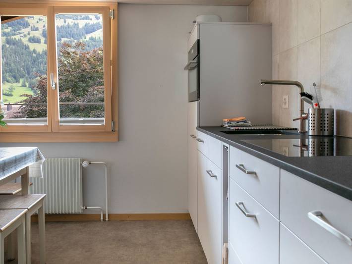 Ferienwohnung für 5 Personen in Frutigen - 3