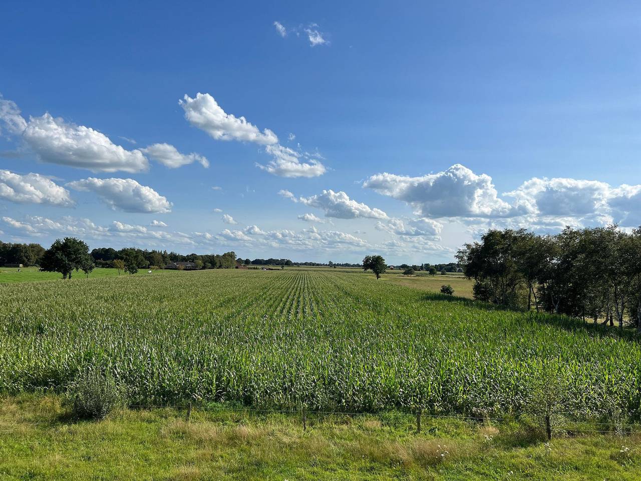 Ganze Ferienwohnung, Ferienwohnung Ponywiese - Ferienwohnung Ponywiese in Ihlow, Landkreis Aurich