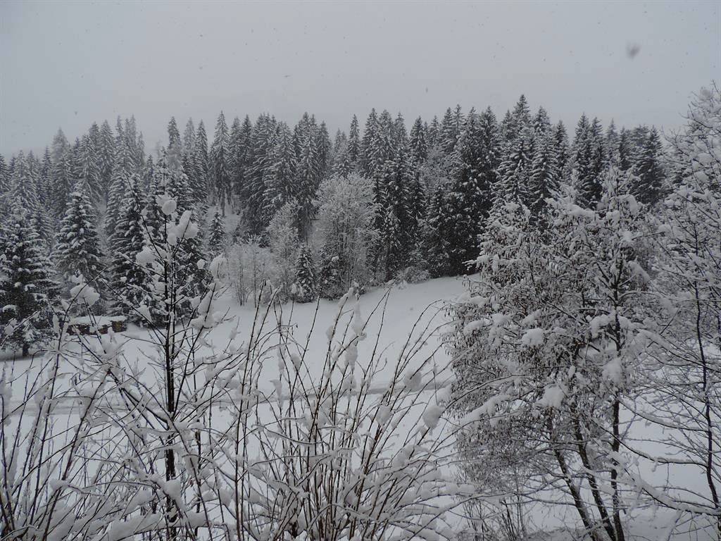 Apartamento vacacional entero, Birkenhof - Schimek in Rätikon mountain range, Bürserberg