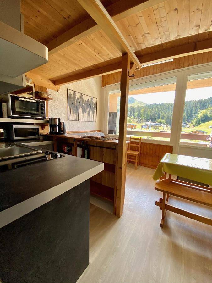 Gîte pour 5 personnes, avec balcon et vue dans Station du Lioran