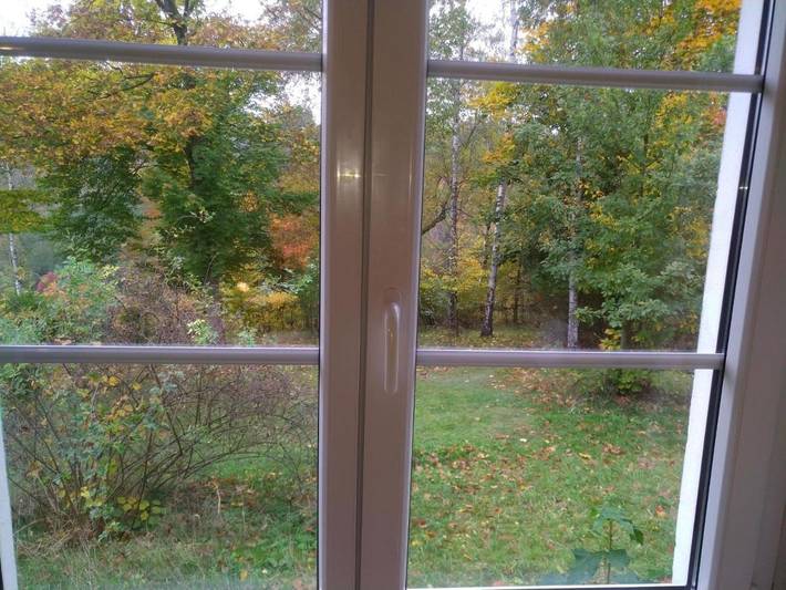 Ferienhaus für 2 Personen, mit Garten und Sauna sowie Ausblick, mit Haustier in Sebnitz - 4