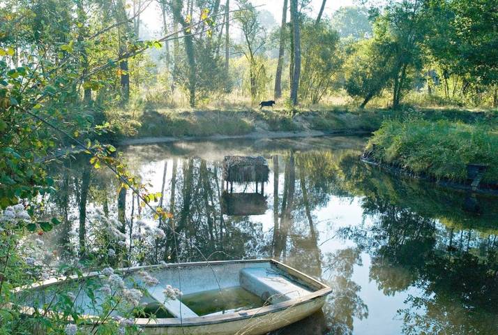 Hôtel pour 2 personnes, avec sauna et jardin ainsi que jacuzzi et piscine à Magescq - 3