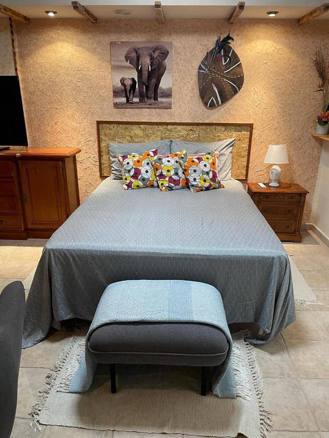 Chambre d’hôte pour 2 personnes, avec jardin à Elche - 4