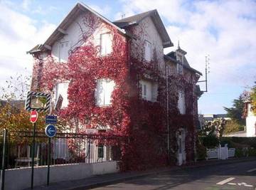 Cottage pour 2 personnes, avec balcon, animaux acceptés dans Plage du Nau