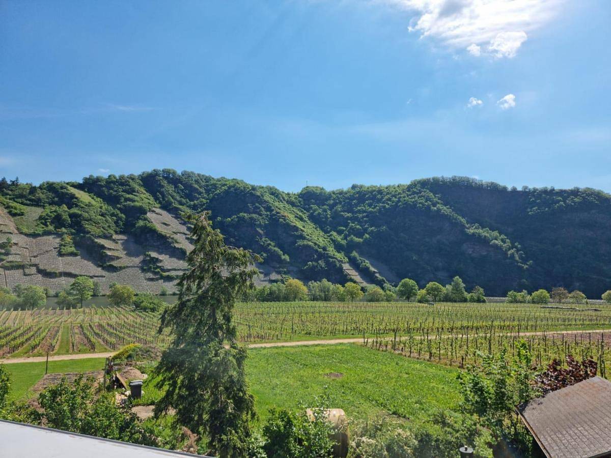 Ganze Wohnung, Ferienwohnung Arens in Piesport, Bernkastel-Kues & Umgebung