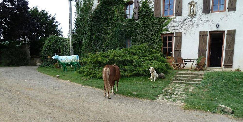 Ferme de Montheu - Chambre Rose in Dommartin-sous-Amance, Région de Nancy