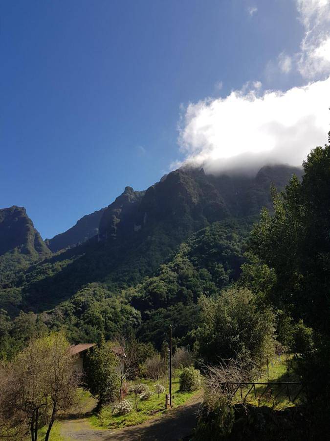 Casinhas da Laurissilva in Pináculo, São Vicente (Madeira)