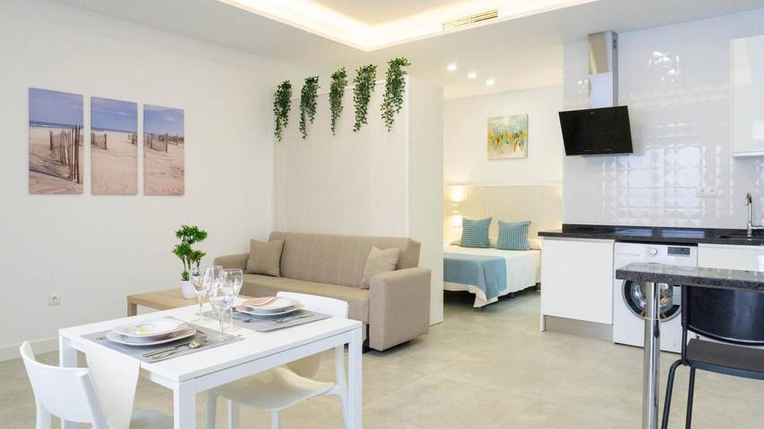 Studio für 3 Personen, mit Haustier in Malaga