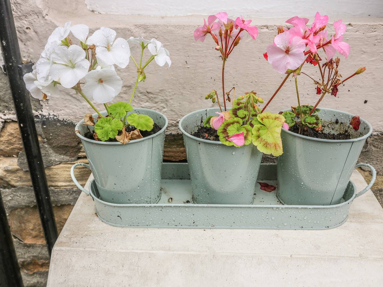 Daisy's Holiday Cottage in Skipton, North Yorkshire