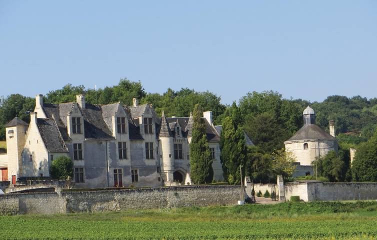 Maison de vacances pour 6 personnes, avec jardin ainsi que jacuzzi et terrasse, animaux acceptés en Indre-et-Loire - 3