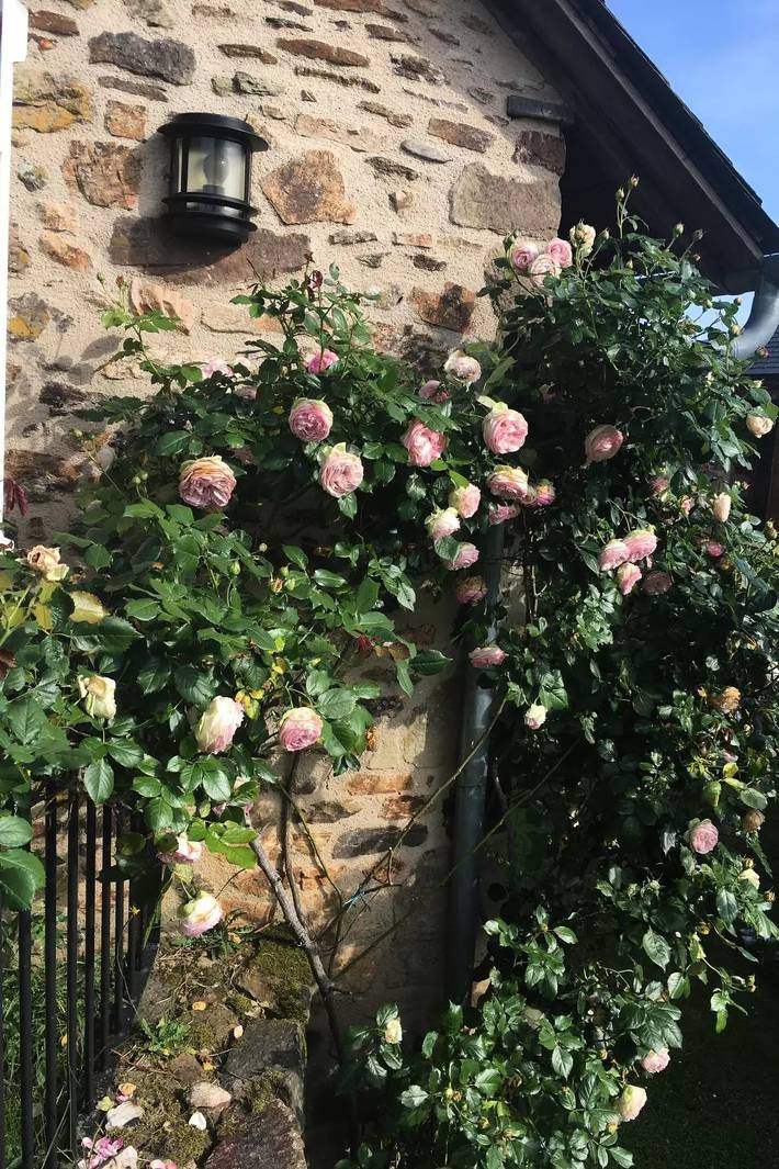 Location de vacances pour 6 personnes, avec jardin à Beynat - 2