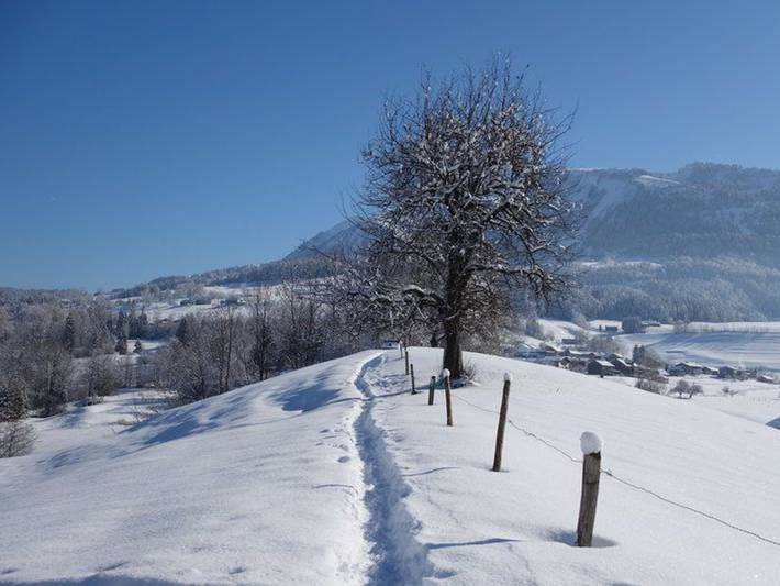 Ferienwohnung für 2 Personen, mit Terrasse in Schoppernau - 3
