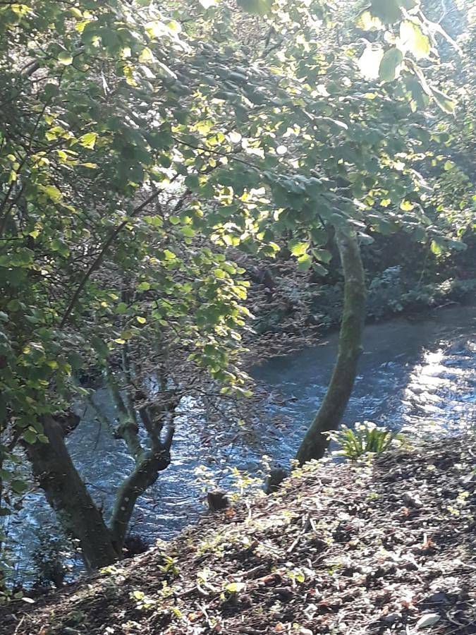Location de vacances pour 5 personnes, avec vue ainsi que vue sur le lac et jardin à Arques-la-Bataille - 4