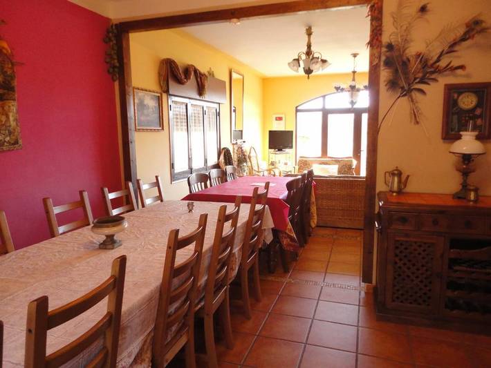 Casa de vacaciones para 17 personas, con Balcón y Terraza además de Jardín y Vistas en Ribera del Duero - 4