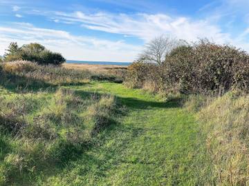 Strandhaus für 4 Personen in Gedser, Seeland, Bild 4