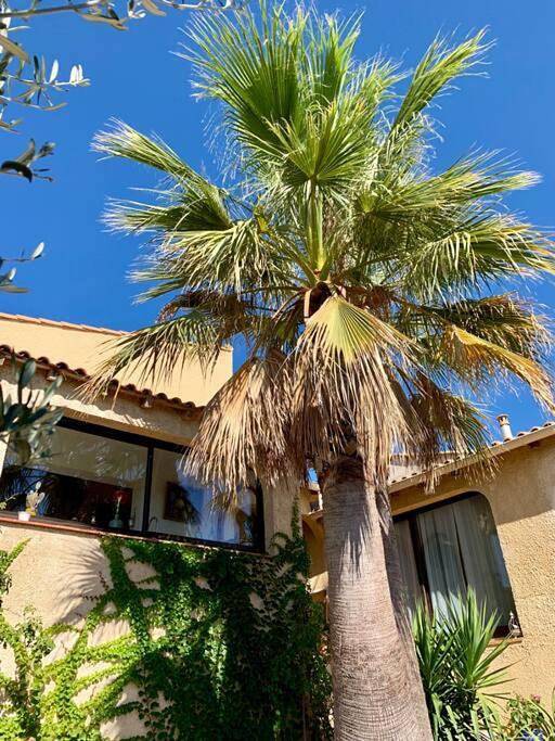 Location de vacances pour 6 personnes, avec terrasse et jardin à Pignan - 4