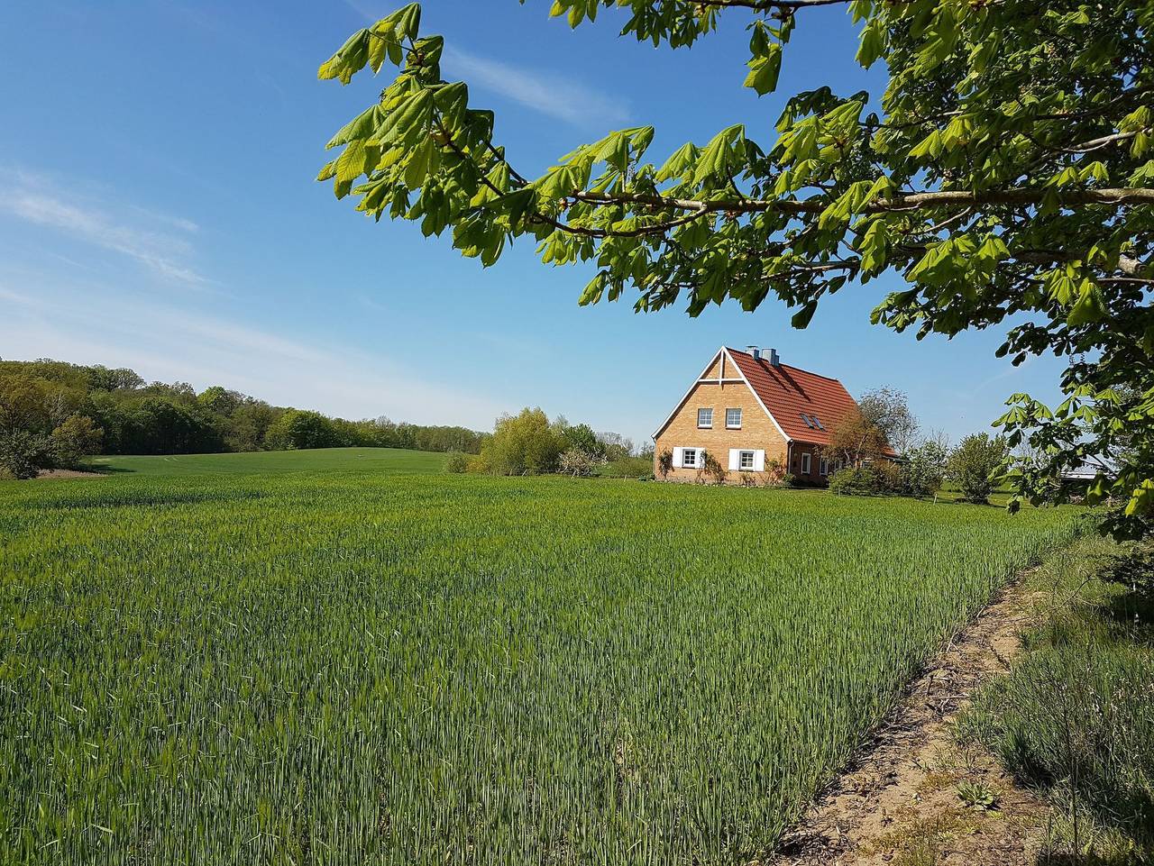 Ganze Ferienwohnung, Ferienwohnung Kranichblick in Hoppenrade, Mecklenburgische Seenplatte
