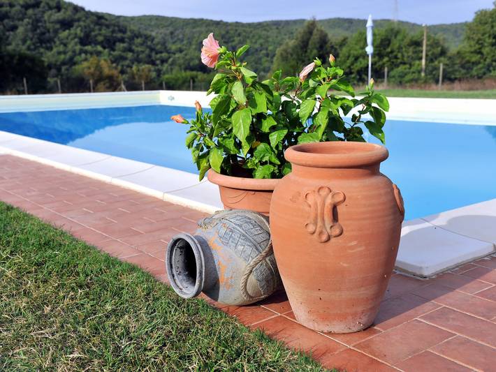 Appartement entier, Agriletizia in Massa Marittima, Province de Grosseto