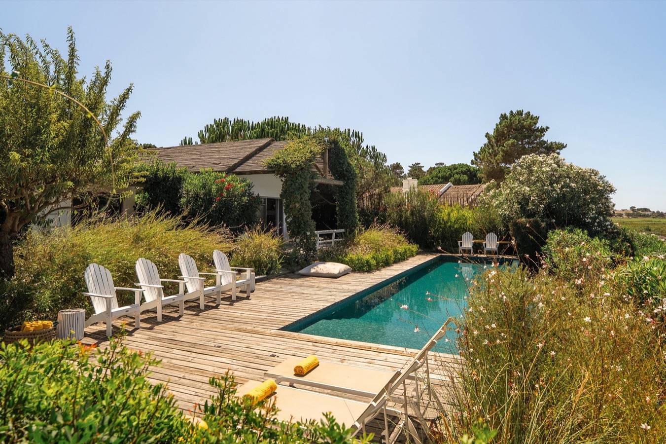 Villa Ricefield in Praia do Carvalhal, Carvalhal