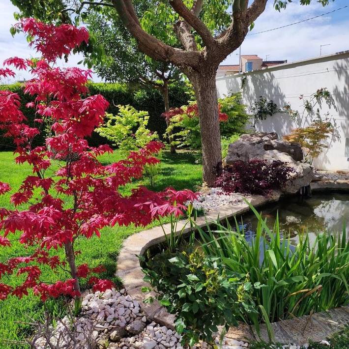 Gîte pour 4 personnes, avec jardin, adapté aux familles à Erchie - 3