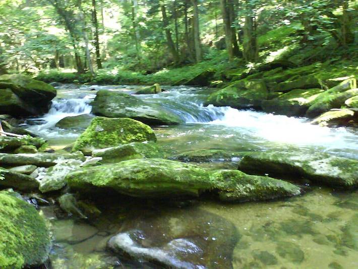 Bauernhof für 6 Personen, mit Sauna und Garten sowie Balkon in Passauer Land - 3