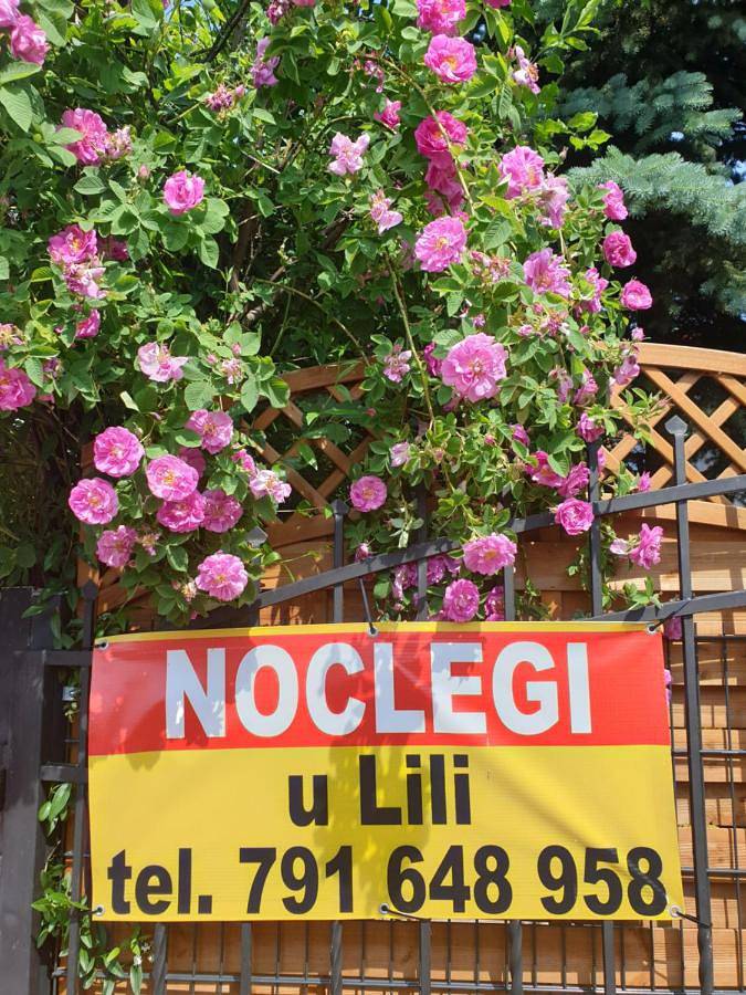 Cały apartament wypoczynkowy, Noclegi u Lili in Człuchów, Pomorze