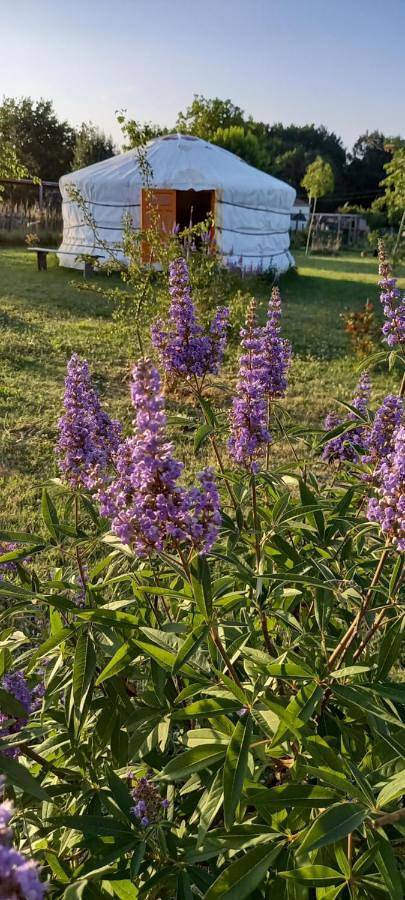 Location de vacances pour 2 personnes, avec jardin ainsi que piscine et vue, animaux acceptés dans Clam - 4