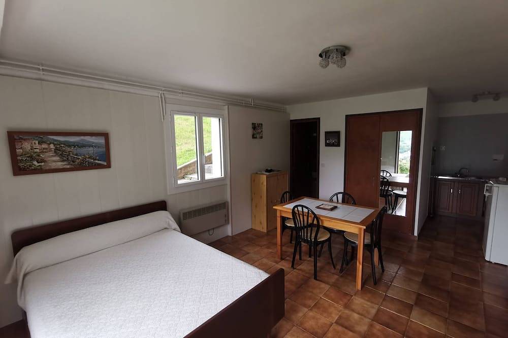 Appartement entier, Studio de plain-pied avec vue sur la vallée de Luz St Sauveur - jardin privé in Sazos, Parc national des Pyrénées