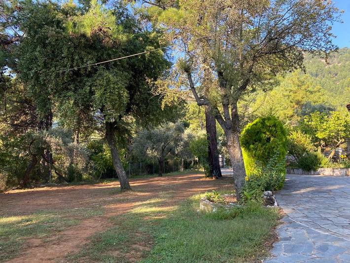 Ferienhaus für 5 Personen, mit Balkon/Terrasse, kinderfreundlich auf Thassos - 3