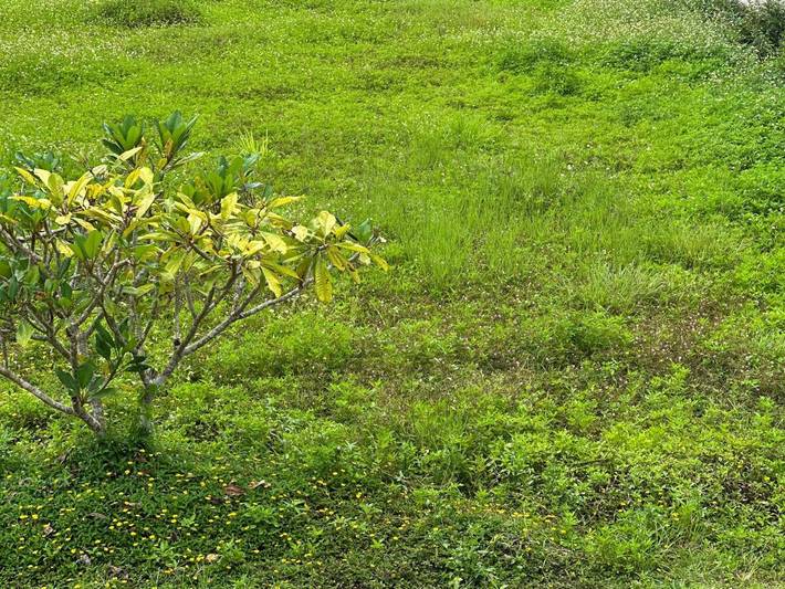 Location de vacances pour 2 personnes, avec jardin et vue à Pai - 3