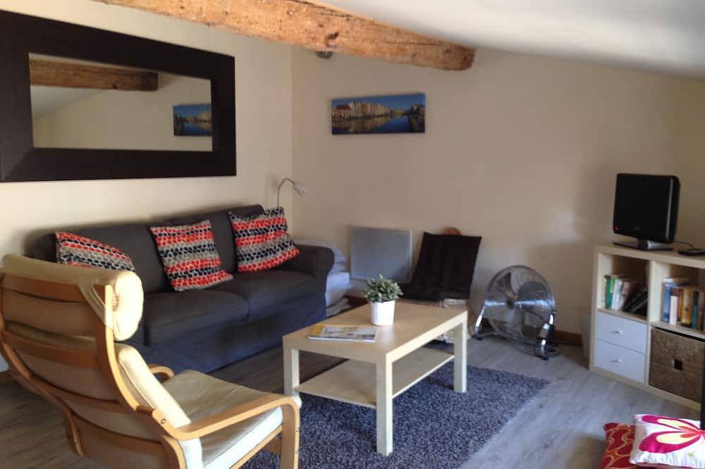 Entire apartment, Magnificent views of Carcassonne  Cite ramparts (Monet) in Carcassonne, Carcassonne region
