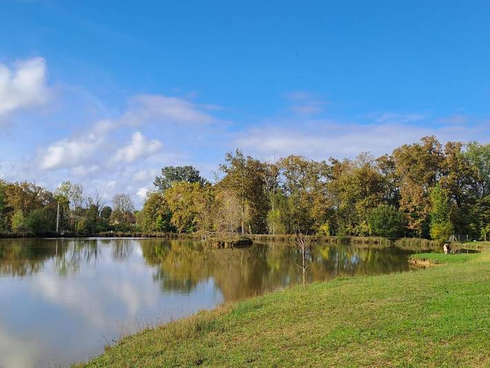 Location de vacances pour 7 personnes, avec vue sur le lac ainsi que jardin et piscine, adapté aux familles à Sadirac - 4