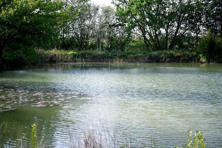 Location de vacances pour 6 personnes, avec vue sur le lac ainsi que jardin et vue à Solgne - 3