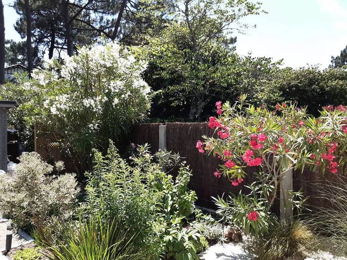 Location de vacances pour 8 personnes, avec vue dans Pyla-sur-Mer - 4