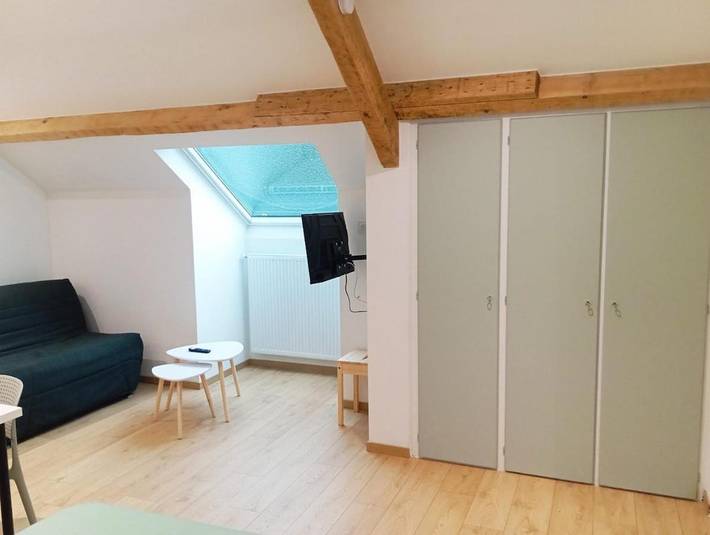 Gîte pour 3 personnes, avec Terrasse à Salles-Curan - 3