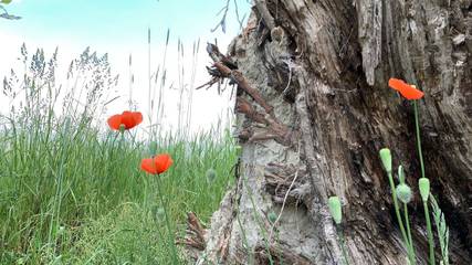 Ferienwohnung für 5 Personen in Vetschau, Lausitz, Bild 3