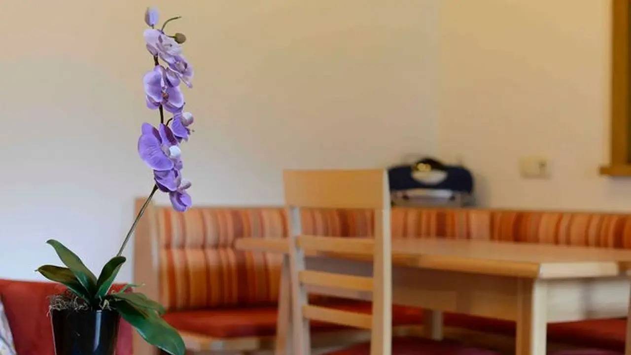 Ganze Ferienwohnung, Ferienwohnung für 4 Personen (60 m²) in Haldensee in Grän, Allgäuer Alpen (Österreich)