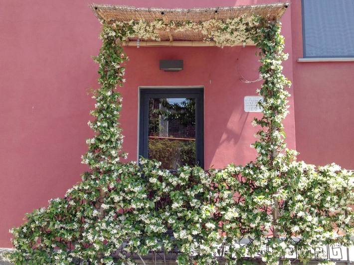 Chambre d’hôte pour 4 personnes, avec jardin, animaux acceptés à La Spezia - 4