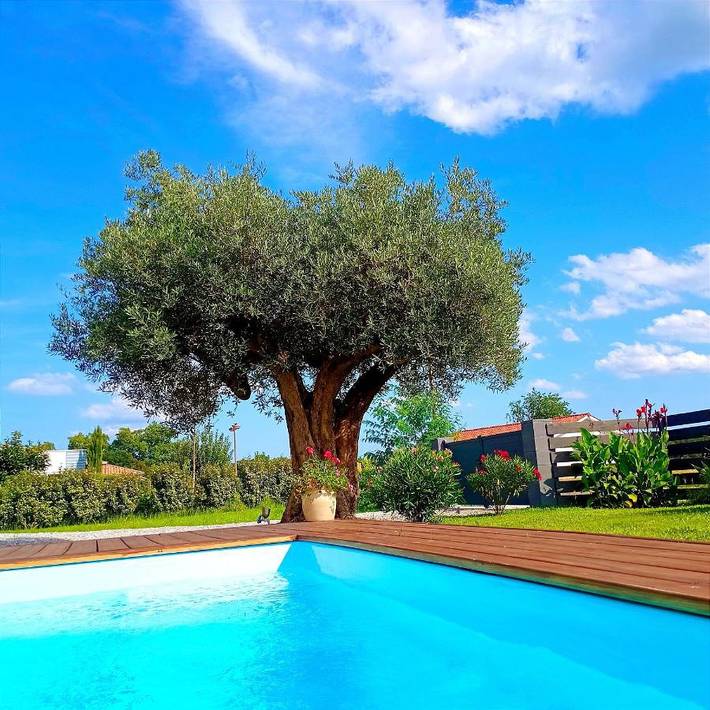 Location de vacances pour 6 personnes, avec vue ainsi que terrasse et piscine dans Lac d'Arjuzanx - 2