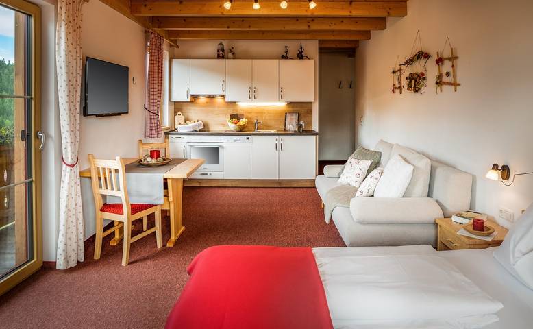 Ferienwohnung für 3 Personen, mit Balkon und Terrasse sowie Garten und Sauna in Sankt Michael im Lungau - 3