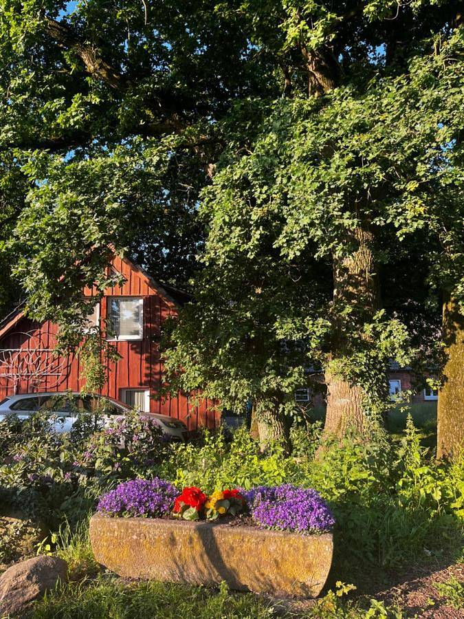 Ferienwohnung für 2 Personen, mit Terrasse und Garten sowie Ausblick in Osterholz-Scharmbeck - 4