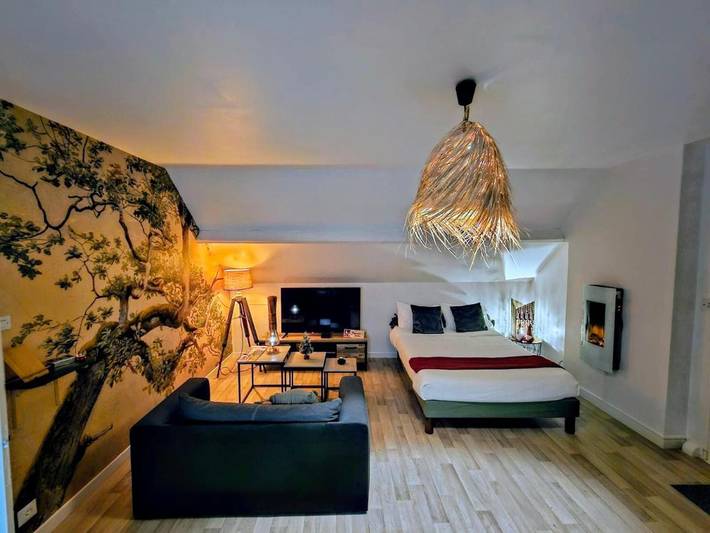 Gîte pour 4 personnes, avec jacuzzi et jardin à Achicourt - 2